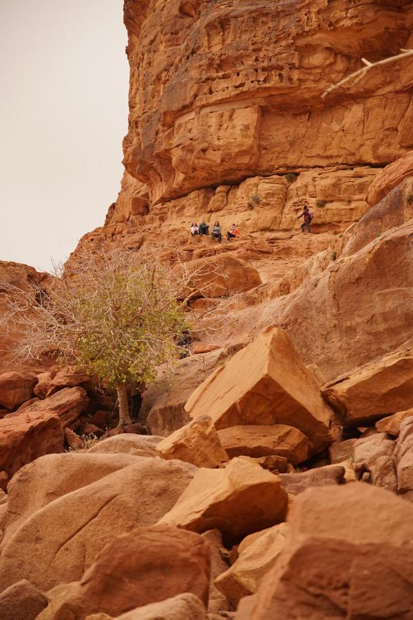 Quite Bedouin Life Hotel Wadi Rum Exterior foto